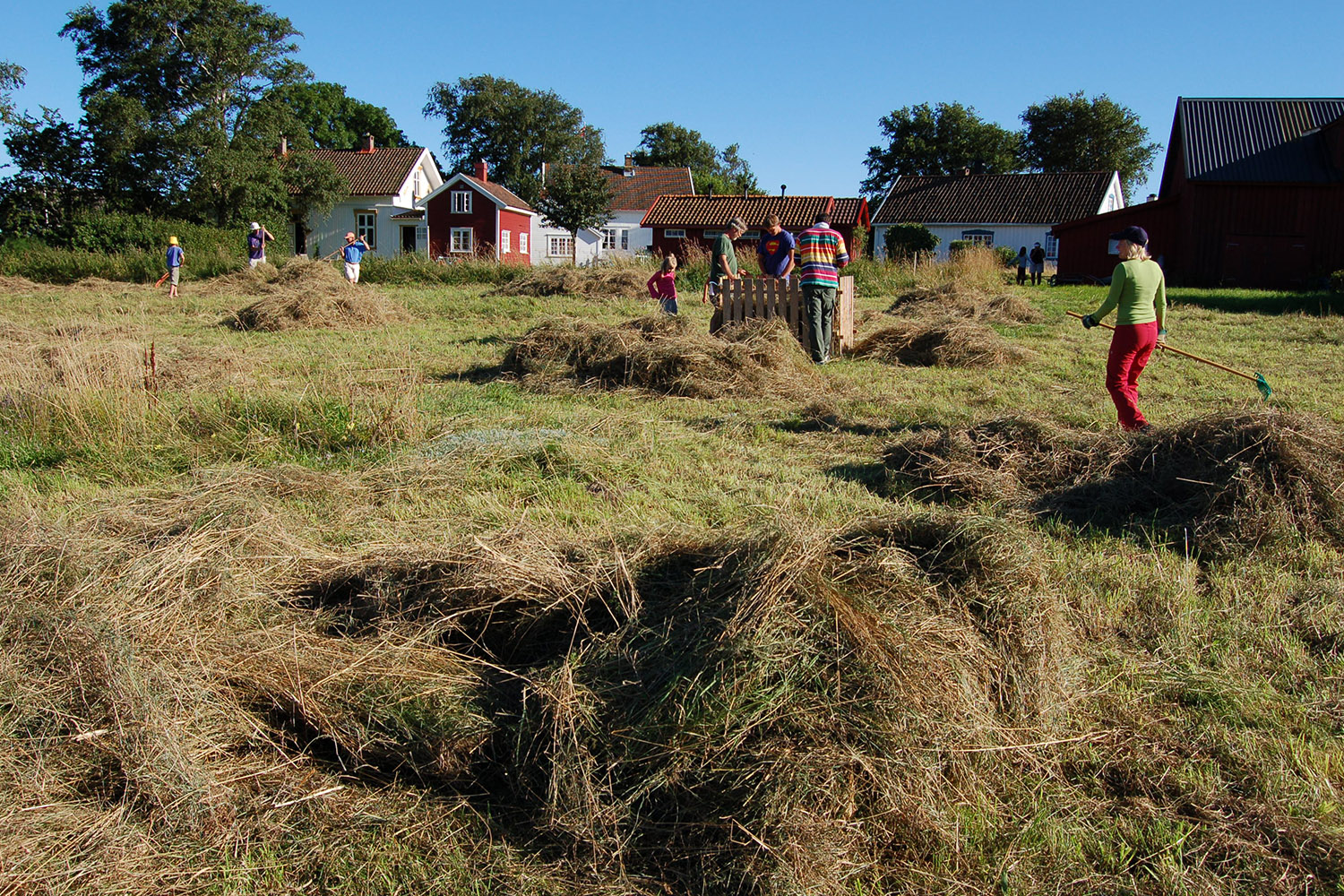 People working to collect hay at Stråholmen.
